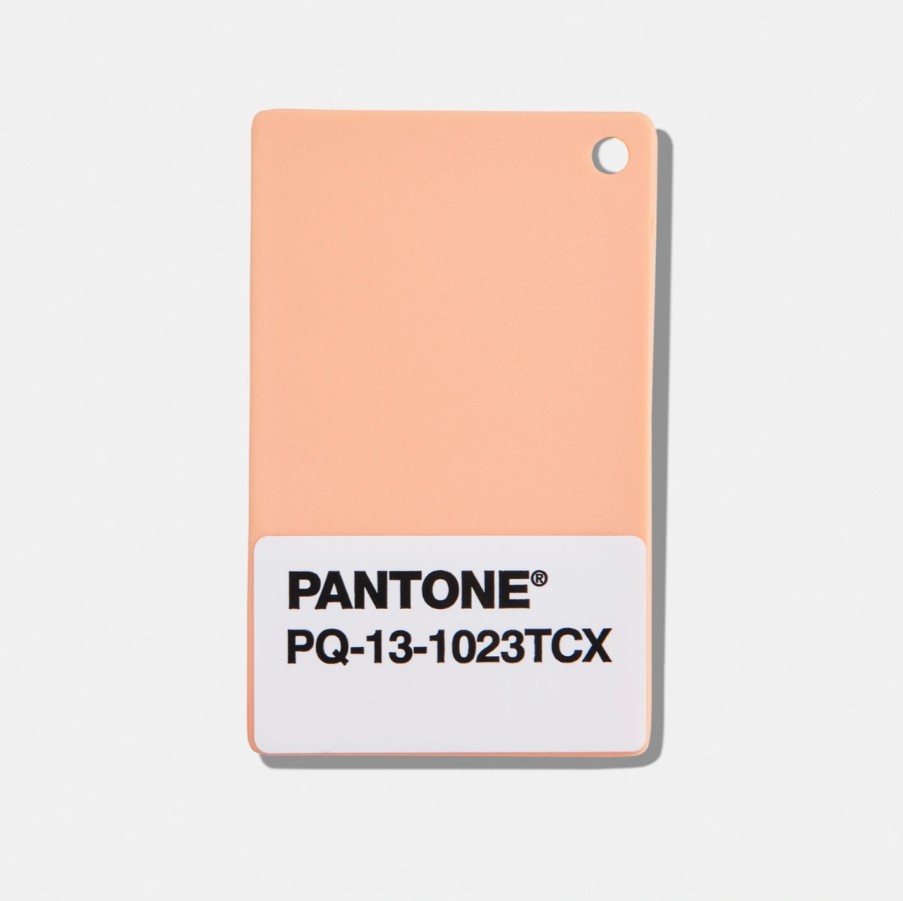 PLASTIC CHIP, PANTONE COLOR OF THE YEAR 2024, 13-1023 PEACH FUZZ